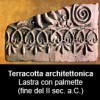15Terracotta_Palmette