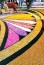 infiorata2