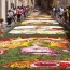 fiori spello